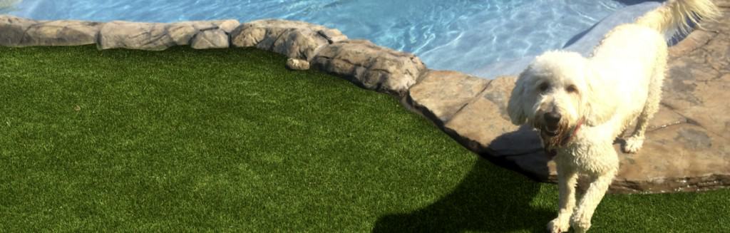 artificial turf for pools