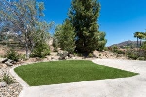 drought tolerant landscaping