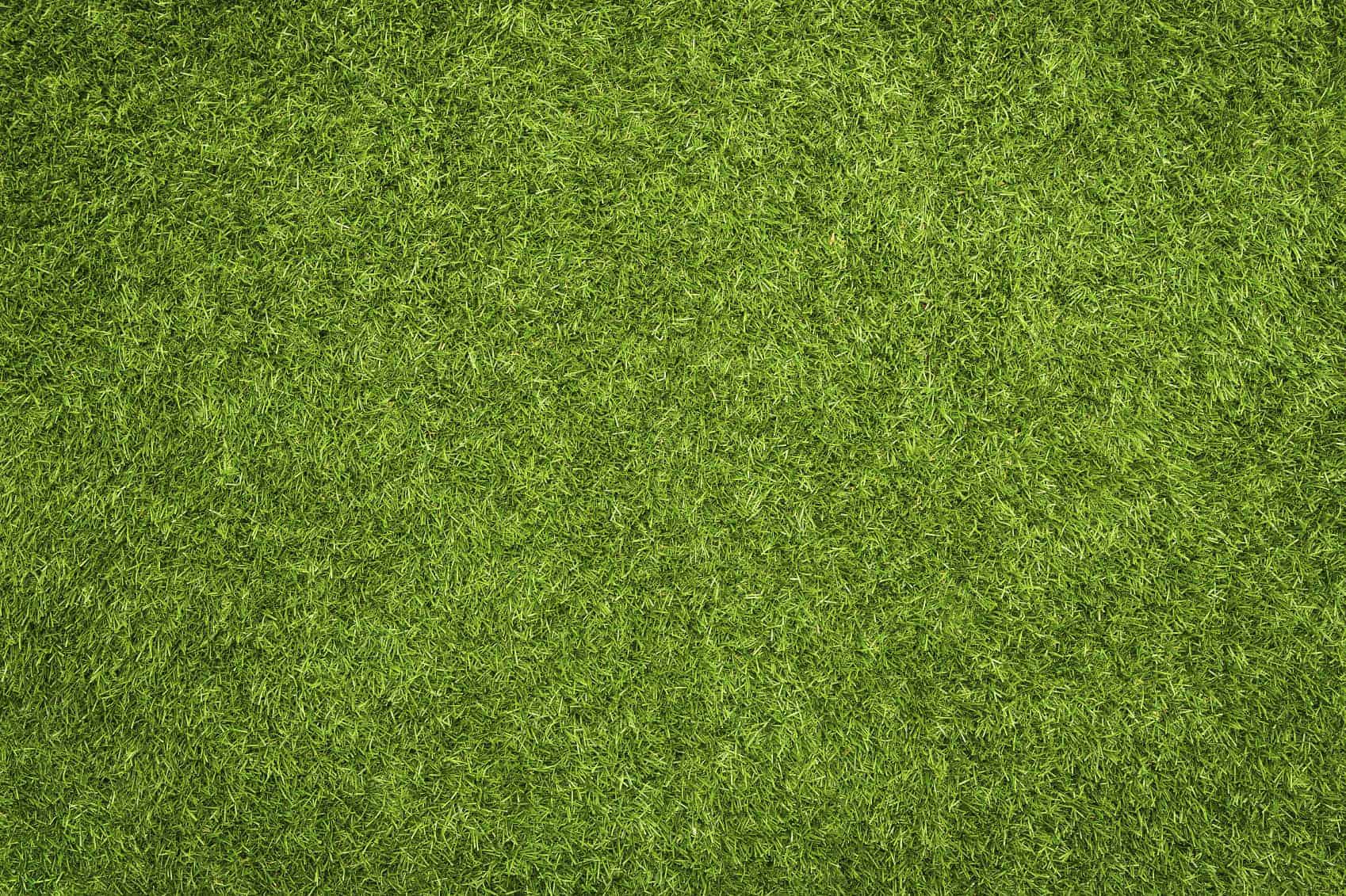 Artificial grass texture, background with copy space