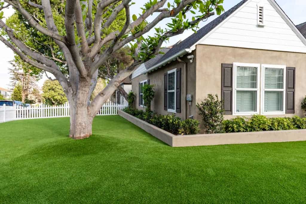 Willow St - 6 Willow St - 6
