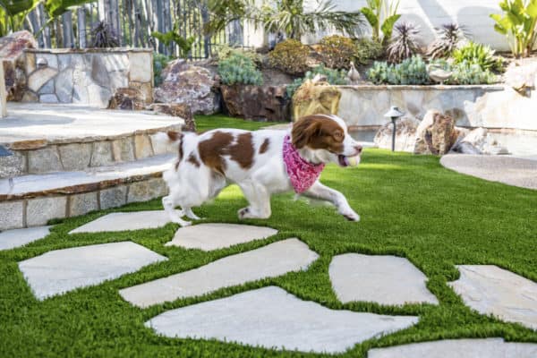 5 Reasons Why Artificial Turf Might Be For You Sod Installation